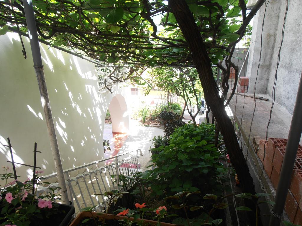 Apartmani Zeljko Vujovic Budva Exterior photo